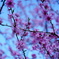DSC02019