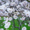DSC02046