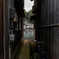 DSC02502-2