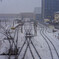 DSC02537-3