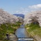 郡山の藤田川
