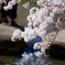 春の一歩