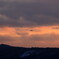 夕暮れに飛ぶ01