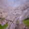 179 (2020-04-13T10_28_46.369)