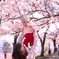 高い高い