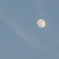 １２月１９日　ISO80