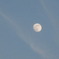 022 １２月１９日　ISO100