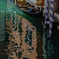 Venetian Reflection