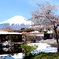 富士と桜