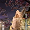 夜桜002