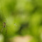 A8C67260-03E3-45E0-B1B1-70114495CF5E
