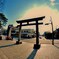 三嶋大社　鳥居