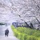 未来へ続く道