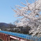 青と赤と白