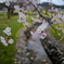 春の小川