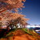 04B2A608-CE65-41EC-B762-7470C19FE6A3