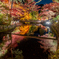 岩屋道 紅葉