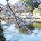 bIMG_0687