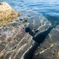 故郷の海