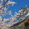 お城と