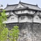 角度を探すのに難しかった