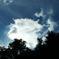 雲光５