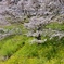 里の風景