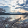 昼の風景