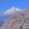 富士山と桜