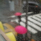 red umbrella