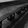 雨上がり　#6