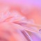 輝き、一雫