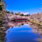 三年前の弘前公園 春陽橋