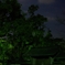寒夜