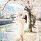 静かな桜 2