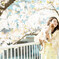 静かな桜 3