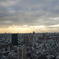 東京タワーからの風景