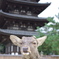 どう？俺の家