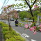 薄紅色の街路樹で