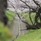 水のない水路に鎮座する