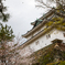 和歌山城の桜