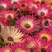 05B9E24A-896B-4AED-A56E-0D22A5EB1348