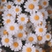 104C9BC8-0B45-4FEB-B5DC-078E4E20FF78
