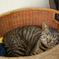 2014_10_25 12_17_59-X-T1-35.0 mm f_1.4