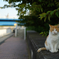 2014_10_25 15_05_03-X-T1-35.0 mm f_1.4