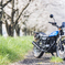 250TR