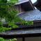 雨の陣屋