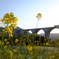 菜の花とアーチ橋