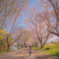酒津公園からの子供ポートレート