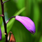 D7K_5886R